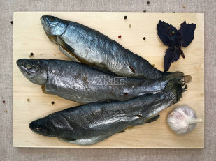 Щупальца кальмара гигантского х/к: Форель радужная вяленая